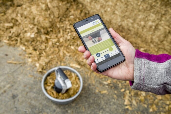 trzoda chlewna, prosię, prosięta