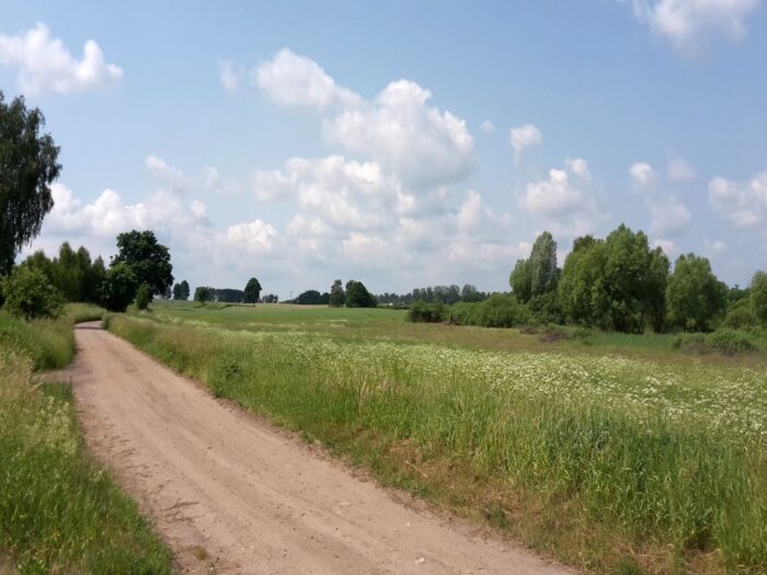 ugory iodłogi, grunty rolne i leśne, raport gus