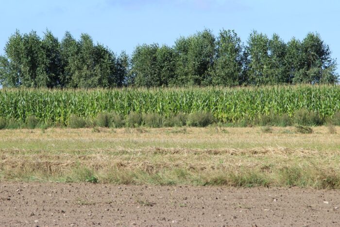 nawożenie, NIK, raport, gleba, uprawa, badanie gleby