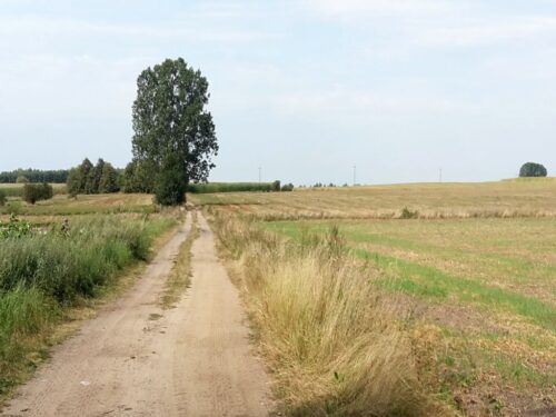 nawożenie, NIK, raport, gleba, uprawa, badanie gleby