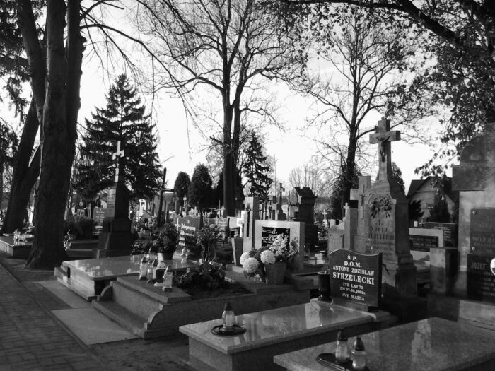 edward gnat, koronawirus, covid-19