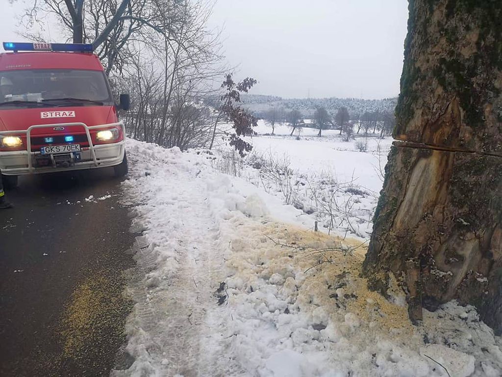 podcinanie drzew przy drogach, pomorskie, OSP