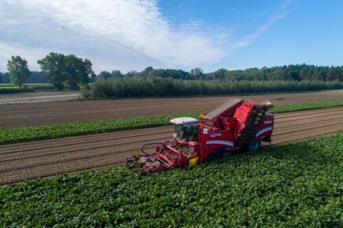 KSC, podsumowanie kampanii cukrowniczej 2020/2021, produkcja cukru, zbiory buraków, kampania cukrownicza w KSC