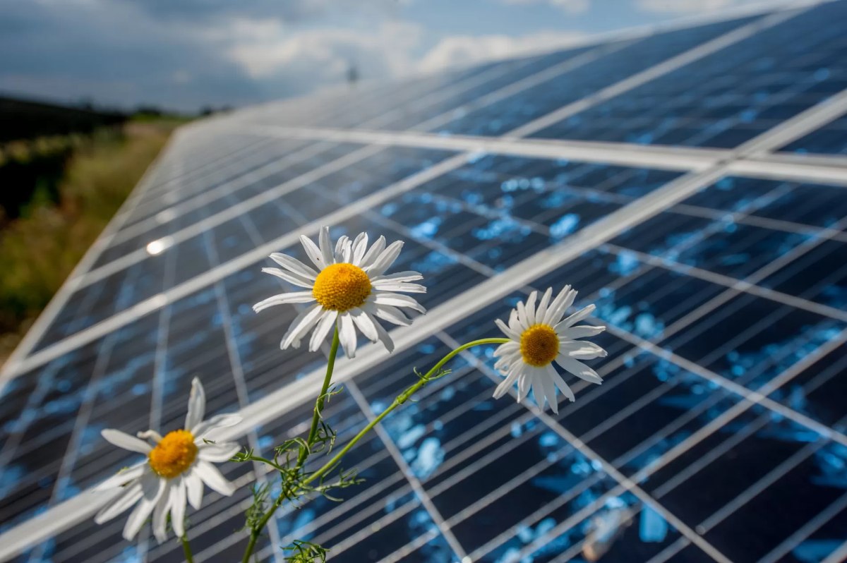 mikroinstalacje fotowoltaiczne, fotowoltaika, produkcja energi elektrycznej, oze, energia słoneczna