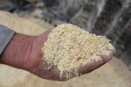 Siemianka-Świsłocz, graniczna kontrola pasz, odprawy weterynaryjne  na granicy, MRiRW