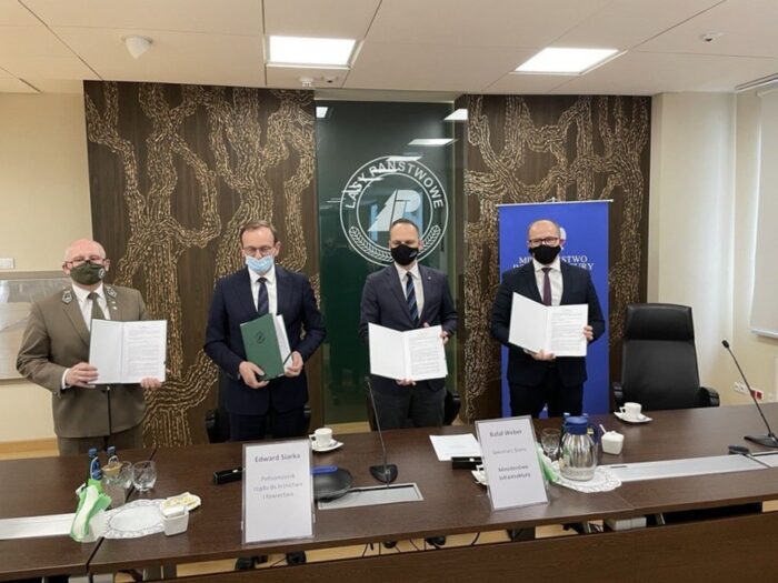 lasy_panstwowe_sprzedaz