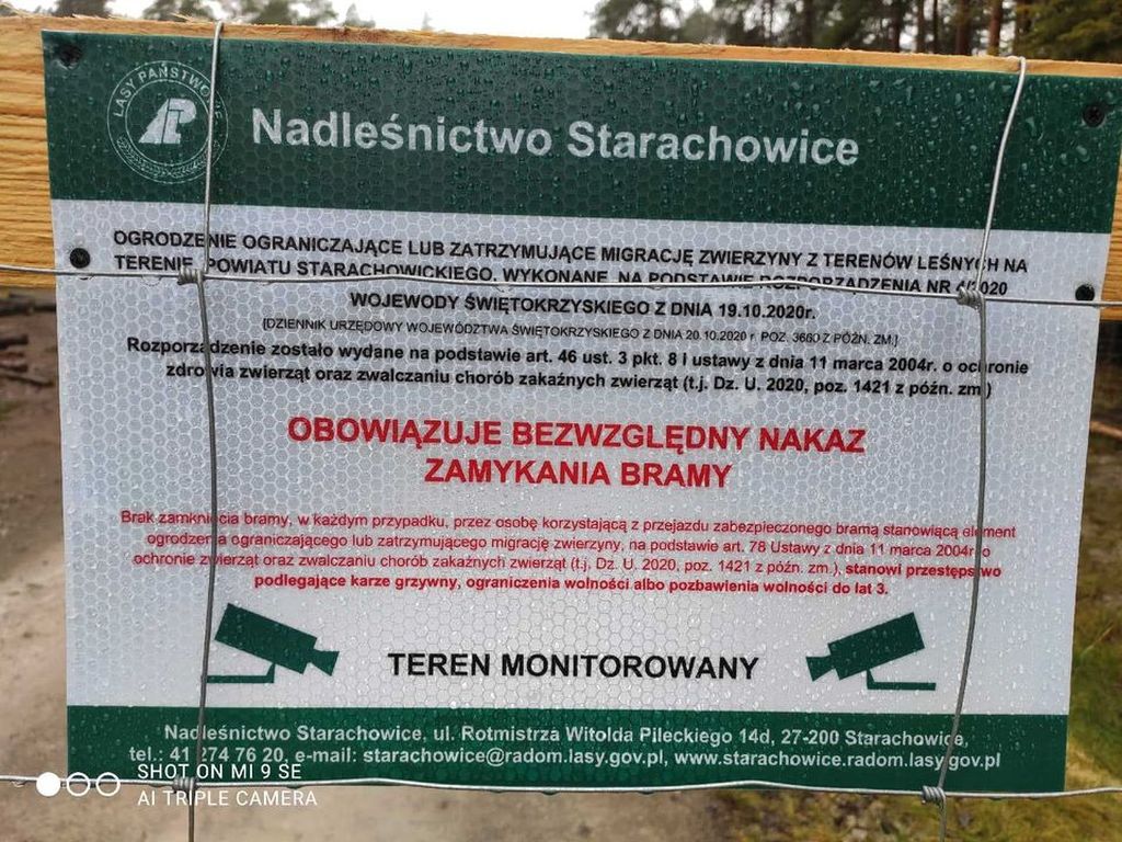 dziki, ASF, ogrodzenie, świętokrzyskie, mazowieckie