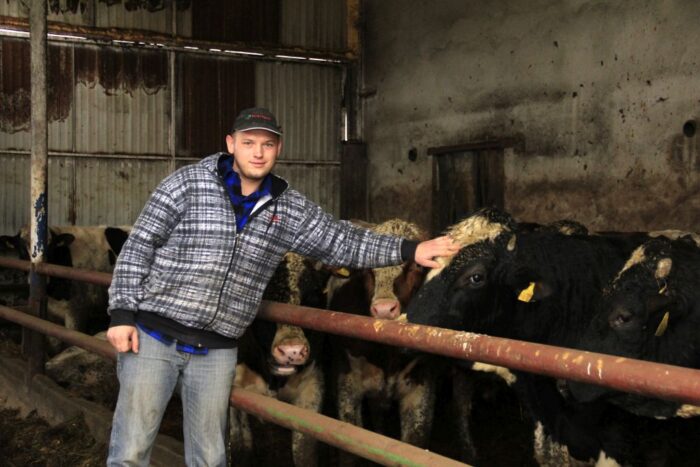 opas bydła, mieszańce, odsadki, Marek Kozłowski z Chwałkowa Kościelnego w woj. wielkopolskim