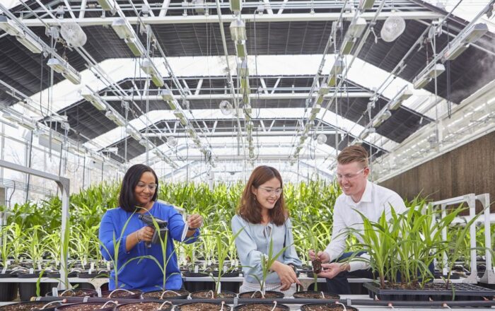 Jedno ze szkoleń prowadzonych przez ekspertów Bayera