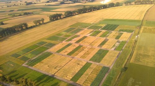 Uniwersytet Przyrodniczy w Poznaniu, płodozmian, wpływy płodozmianu na plony, płodozmian a zmiany klimatu