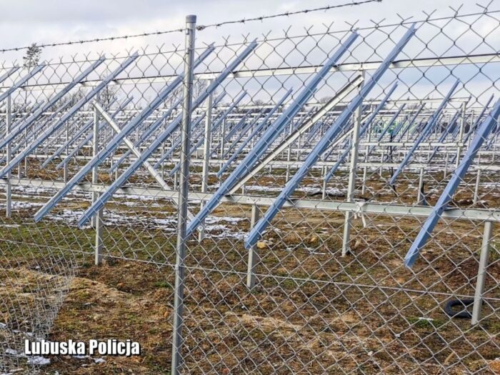 ferma futrzarska, Stowarzyszenie Otwarte Klatki, Ekostraż, Andrzej Sikorski, goliszów