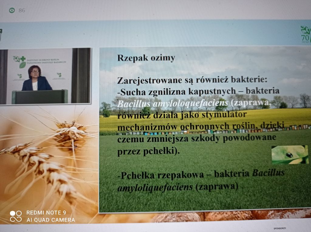 biologiczna ochrona roślin, grzyby pasożytnicze, nicienie grzybożerne, preparaty biologiczne, IOR-PIB