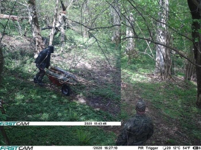 szkodnictwo leśne, RDLP w Olsztynie, Lasy Państwowe, kradzież drewna, kłusownictwo