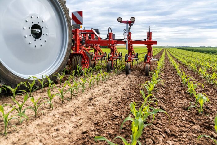 Stekete - pielnik do chwastów