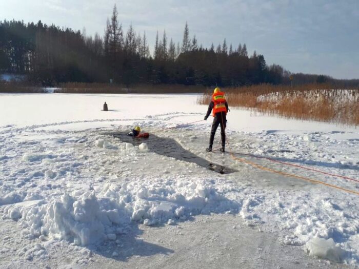 sarny w stawie, opole, Jarosław Larski