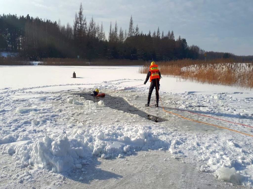 sarny w stawie, opole, Jarosław Larski