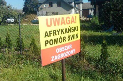 zabezpieczenie gospodarstwa przed ASF, prow 2014-2020, arimr, wsparcie dla rolnictwa