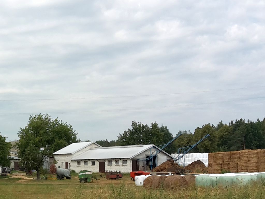 nowe budynki w gospodarstwach, gus, inwestycje w gospodarstwach, budynki magazynowe