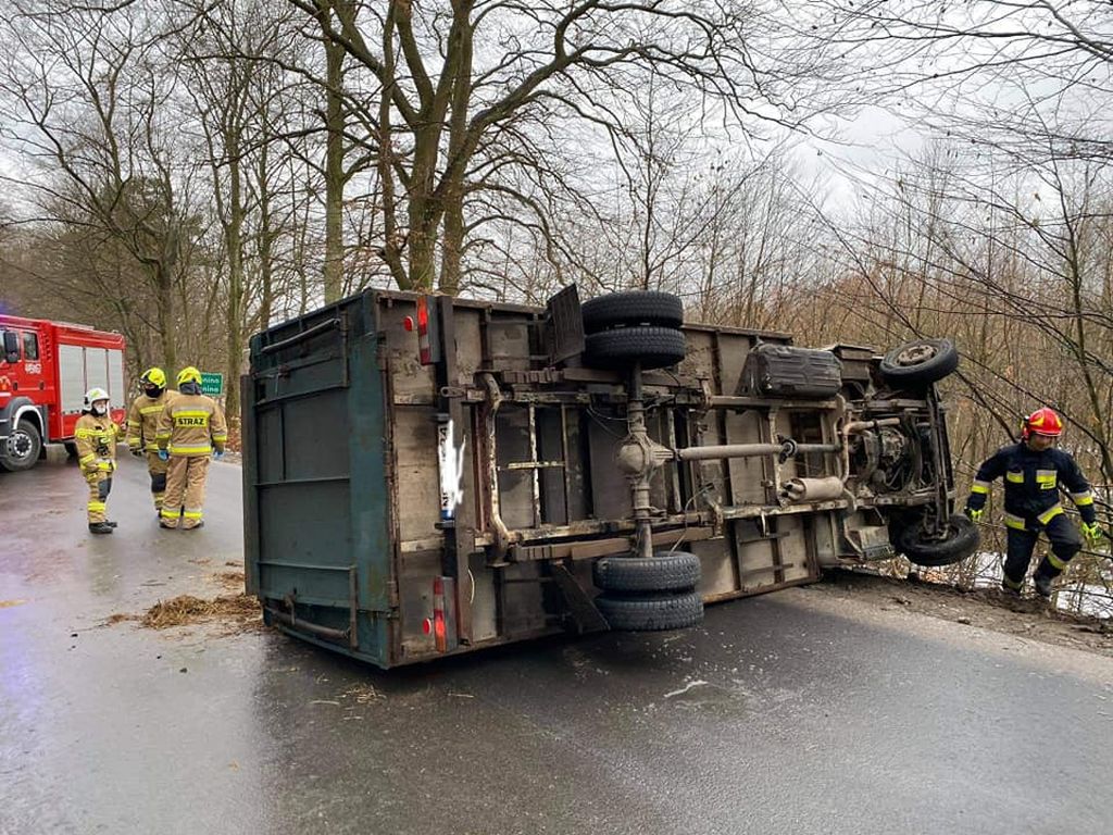 brazylia, ekport mięsa, wołowina, drób