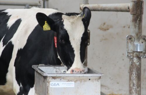 cena wody, Przemysław Daca, Wody Polskie, woda w rolnictwie