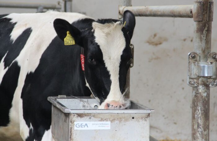 cena wody, Przemysław Daca, Wody Polskie, woda w rolnictwie