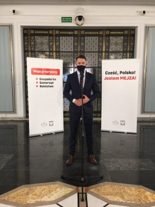 Łukasz Mejza, Mejza w Sejmie, Sejm, polityka