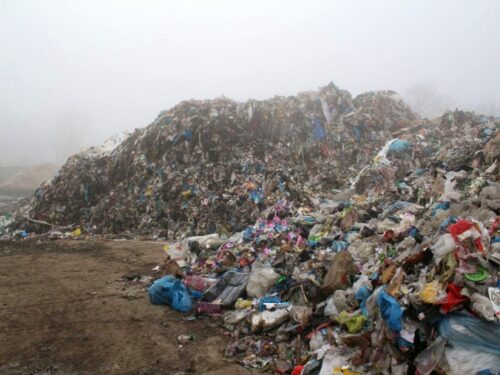 odpady na polu, gmina Dąbrowa Biskupia, Izabella Drobniecka, WIOŚ w Bydgoszczy