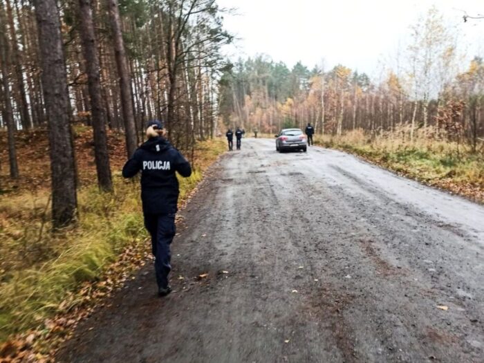 atak dzików, Kopce, Straż Leśna z Miradza, gmina Strzelno
