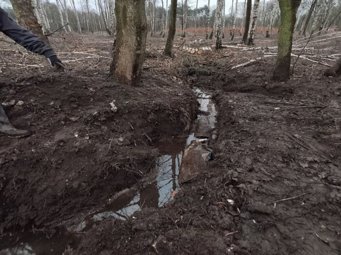 szambociąg, Nadleśnictwo Siewierz, ścieki w lesie, wyciek nieczystości gospodarskich