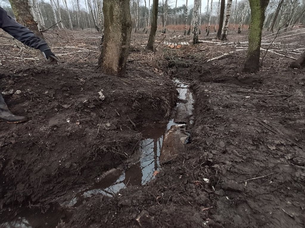 szambociąg, Nadleśnictwo Siewierz, ścieki w lesie, wyciek nieczystości gospodarskich