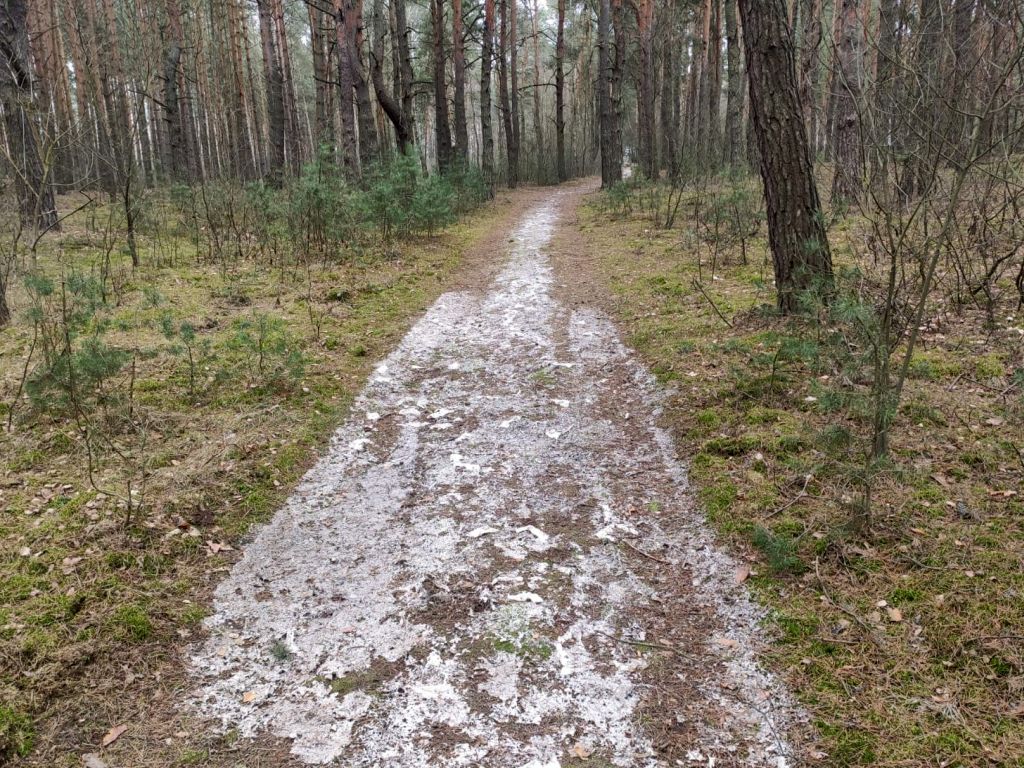 fekalia w lesie, łódzkie, policja, mandat