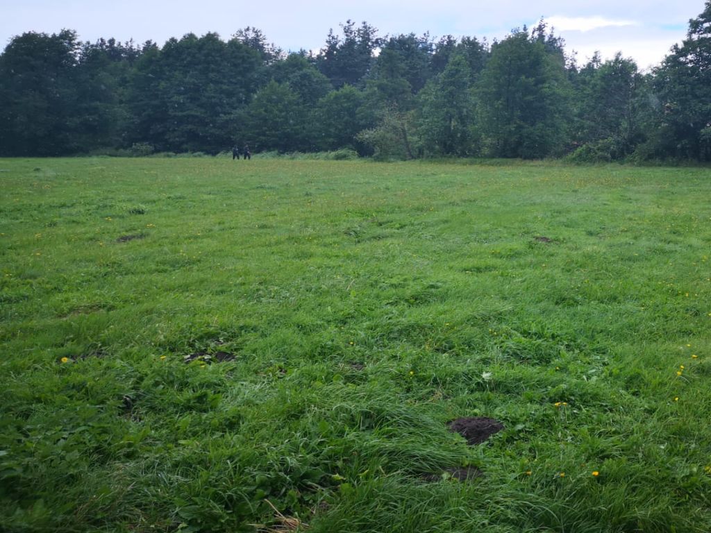 kleszcze, borelioza, choroby zawodowe rolników, krus