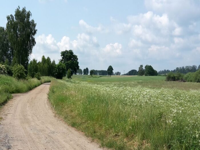 Europejski Zielony Ład, odłogowanie gruntów, ochrona krajobrazu, Marek Mrówczyński,  IOR-PIB.