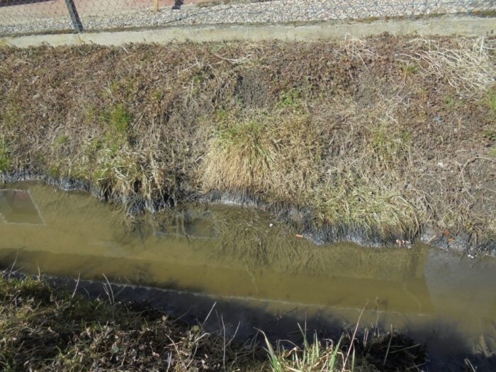 susza, Kalifornia, Stany Zjednoczone