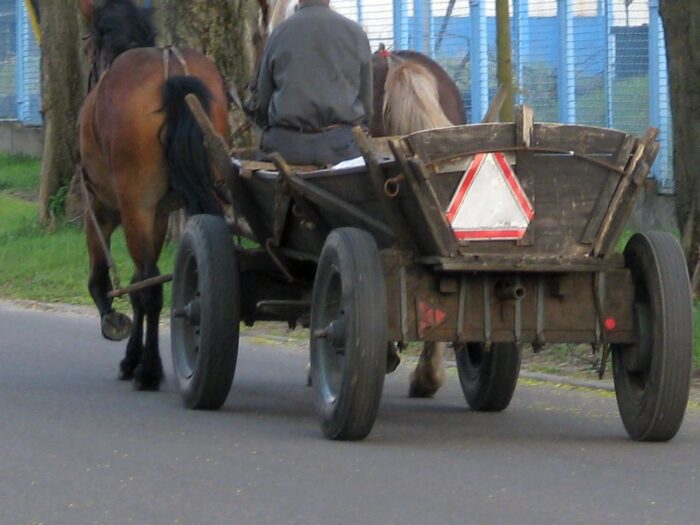 pijany woźnica, Barbara Salczyńska-Pyrchla, gmina Rokitno