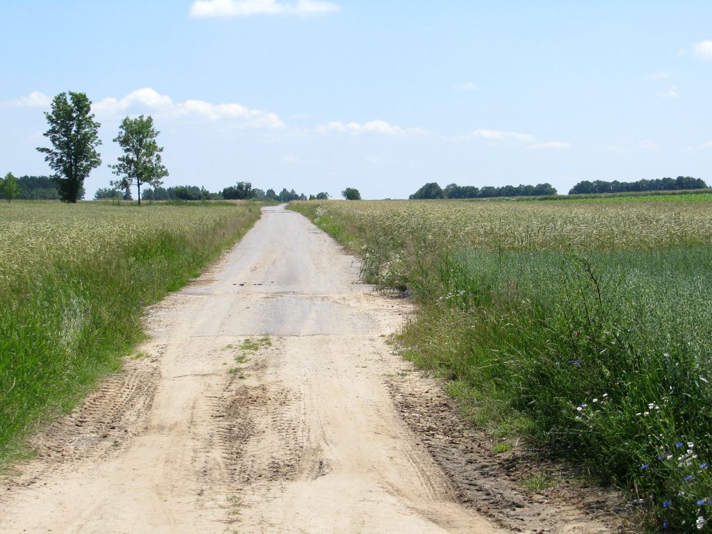 Dolny Śląsk, drogi dojadowe do pól, Cezary Przybylski, grunty rolne