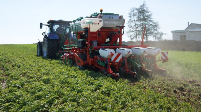 Agrii, Agro-Masz, Zielony Ład, technologia uprawy kukurydzy, uprawa pasowa kukurydzy, technologia uprawy kukurydzy