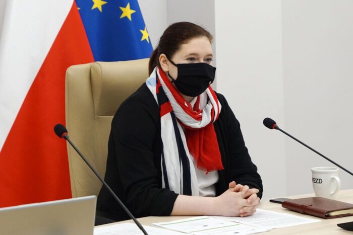 Anna Gembicka, projekt "Renaldo", spółdzielnie energetyczne