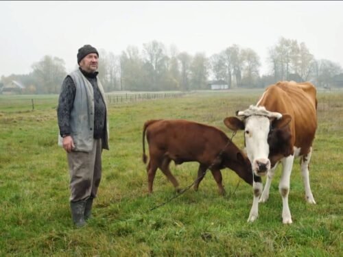 emerytury rolnicze, krus, zus, świadczenia dla rolników