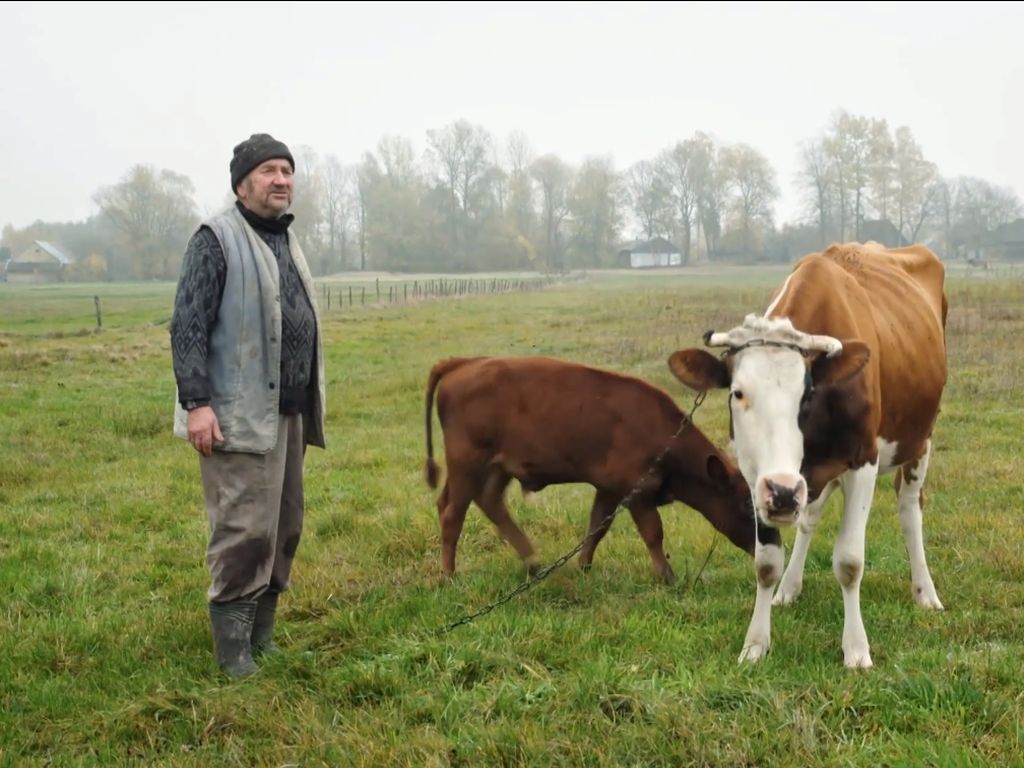 emerytury rolnicze, krus, zus, świadczenia dla rolników