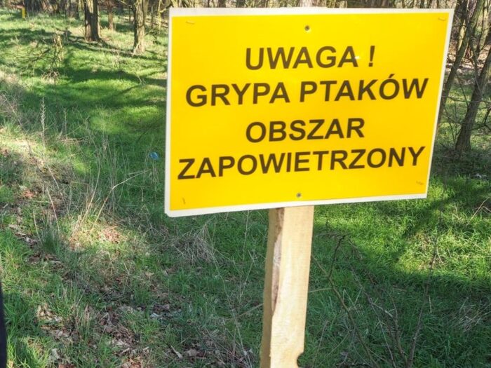 gryp ptaków, Powiat żuromiński, powiat mławski, grzebowisko ptaków