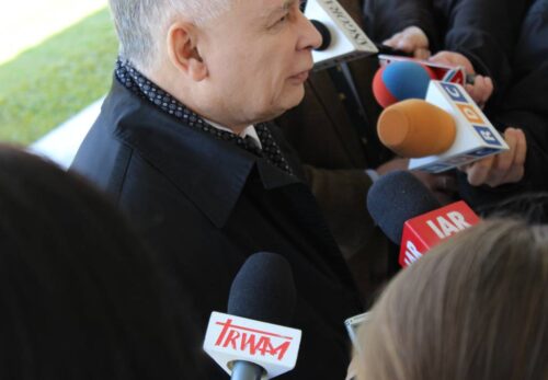 wycinka drzew, Jarosław Kaczyński, PiS, rząd PiS, prawo, przepisy. zmiana ustawy o wycince drzew