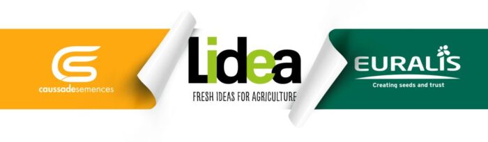 Lidea, Caussade Semences, Euralis Semences, nasiona kukurydzy, nasiona rzepaku,