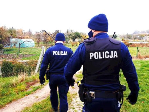 kradzież granitowego głazu, gmina Niedźwiada, powiat lubartowski, Jagoda Stanicka