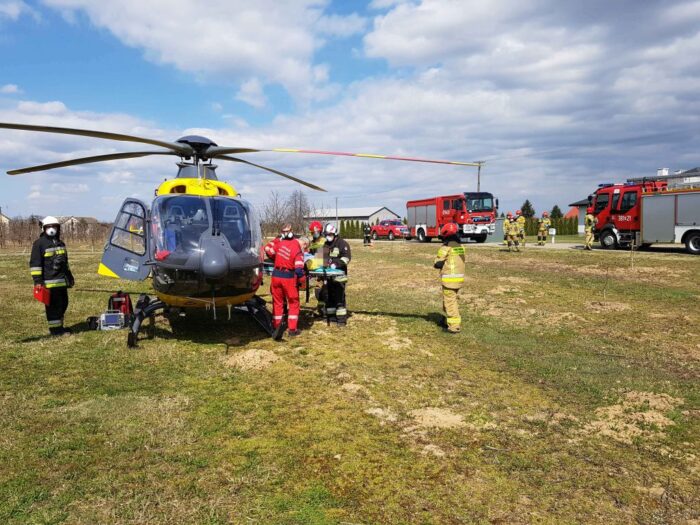 wycinka drzew, prace w sadzie, Kępa Nagnajewska, powiat  sandomierski, Stare Rybie
