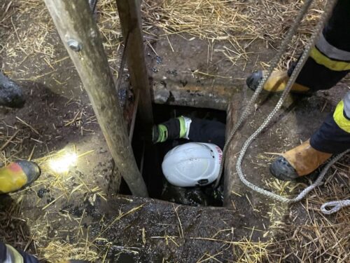 cielak w szambie, gmina Filipów, powiat suwalski, Kazimierz Golubiewski