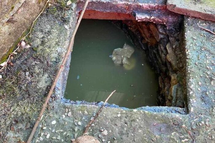 mężczyzna zginął w szambie, Jasionna, powiat jędrzejowski, Karol Błaszczyk