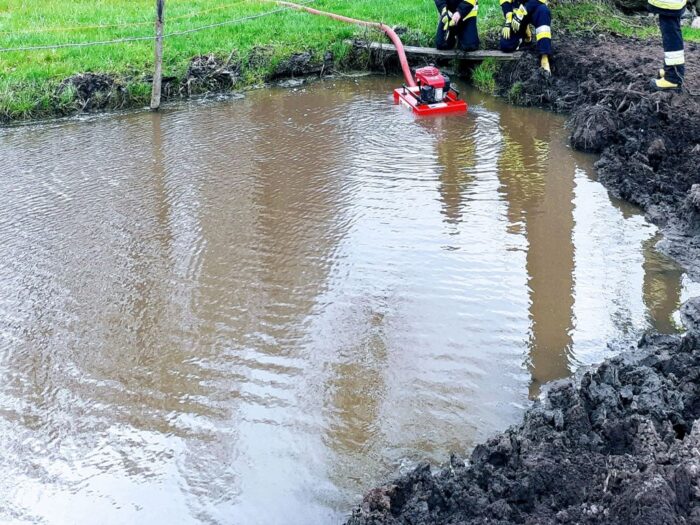 cielę utonęło na pastwisku, Mścichy, powiat grajewski, Arkadiusz Lichota