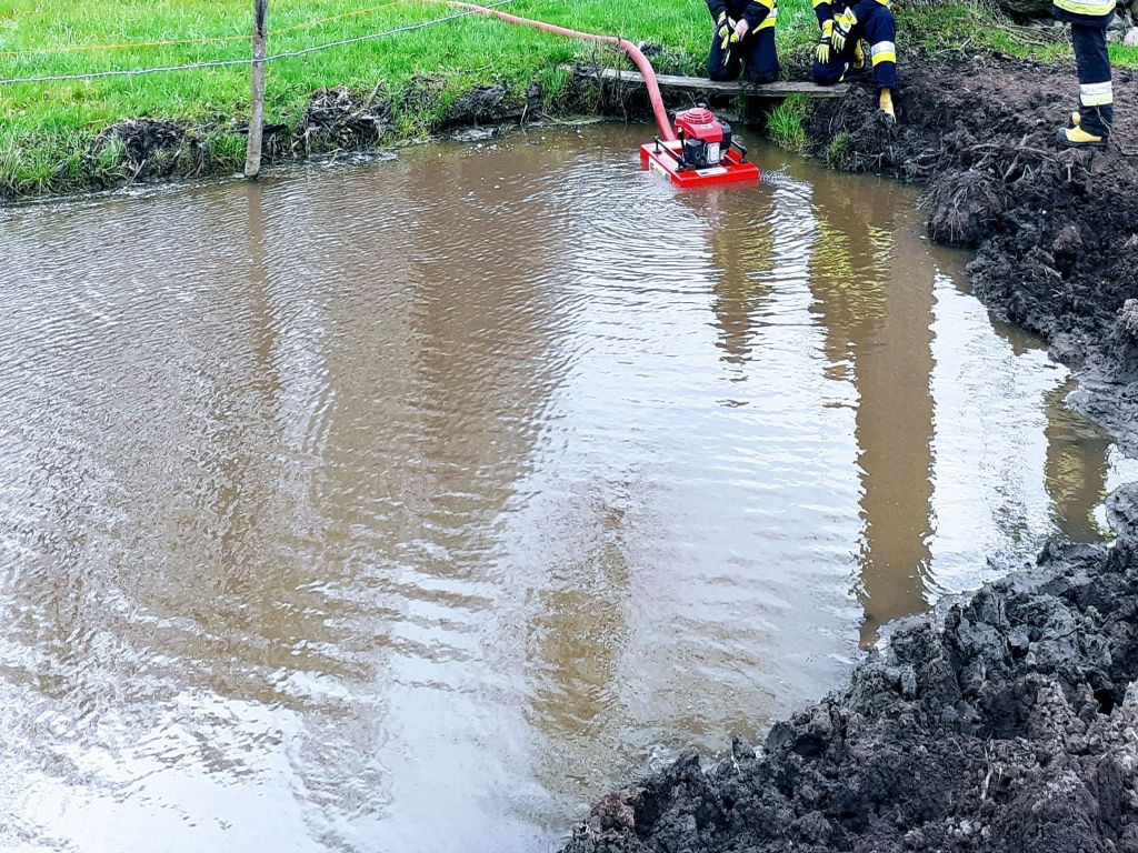 cielę utonęło na pastwisku, Mścichy, powiat grajewski, Arkadiusz Lichota