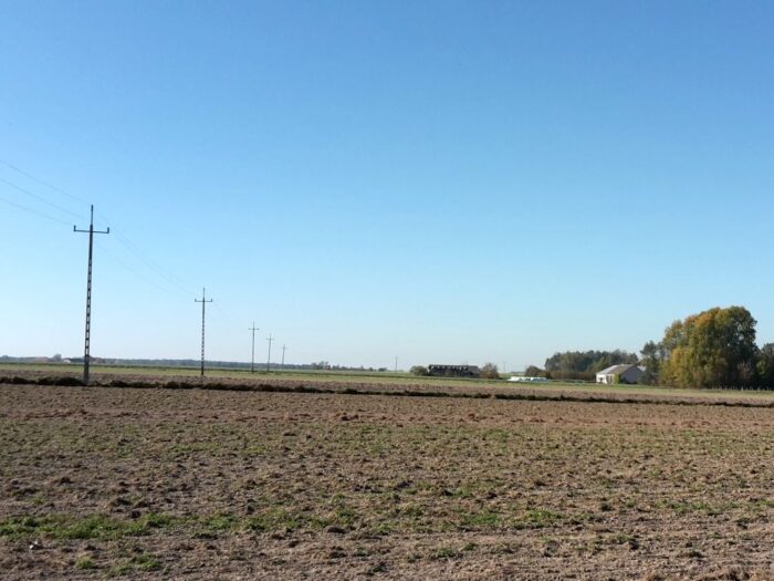 Naczelny Sąd Administracyjny, RPO, płatności bezpośrednie, władanie gruntami rolnymi